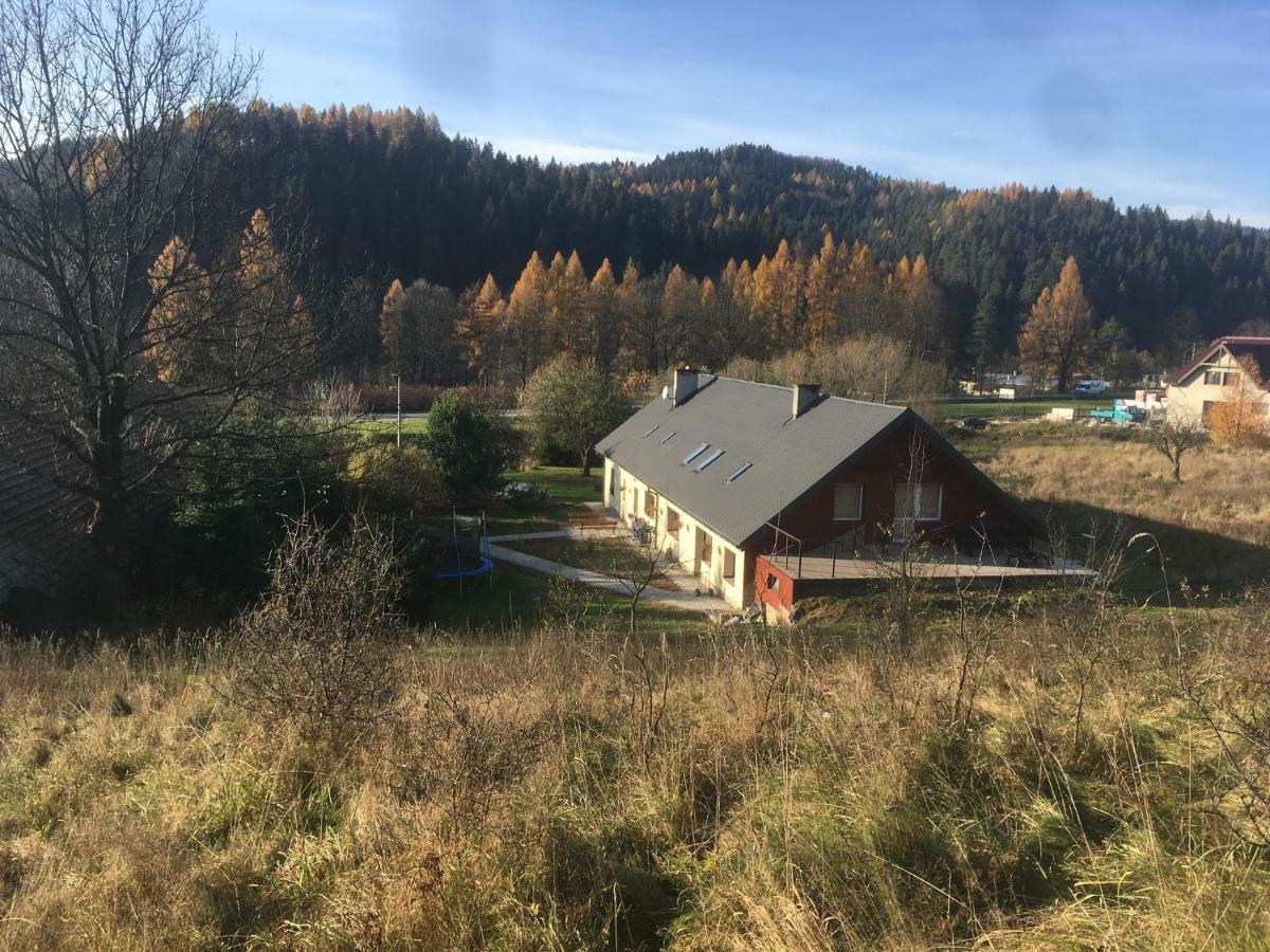 Powroznik 94 Lägenhet Muszyna Exteriör bild
