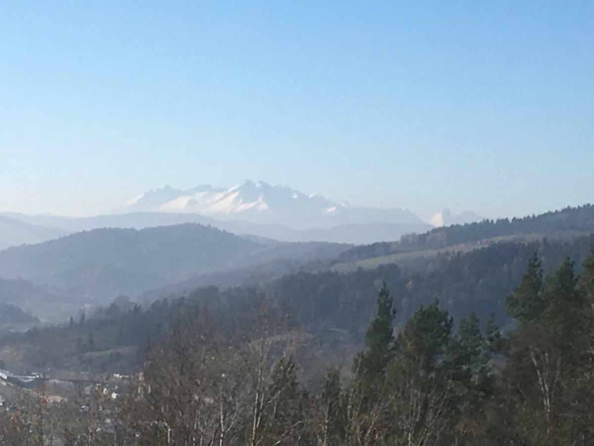 Powroznik 94 Lägenhet Muszyna Exteriör bild