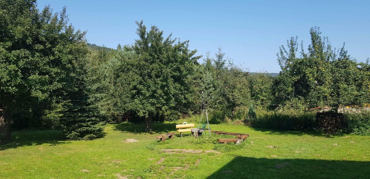 Powroznik 94 Lägenhet Muszyna Exteriör bild