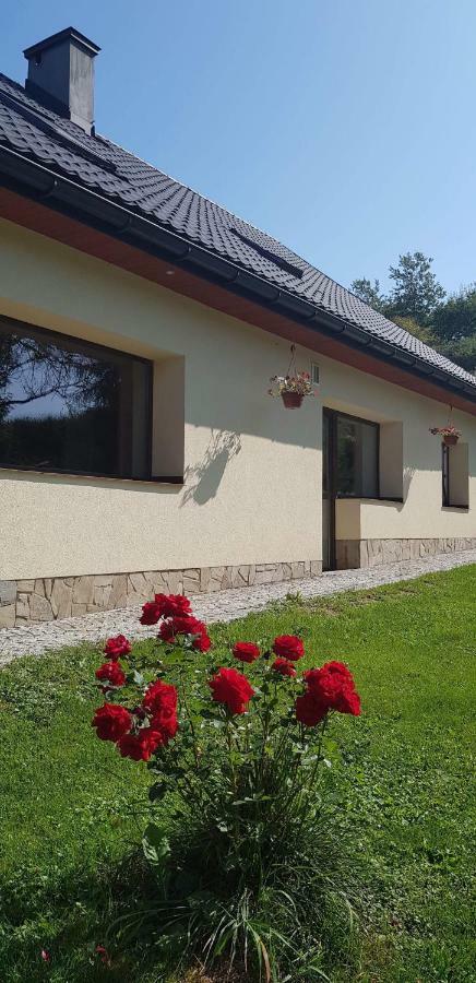 Powroznik 94 Lägenhet Muszyna Exteriör bild