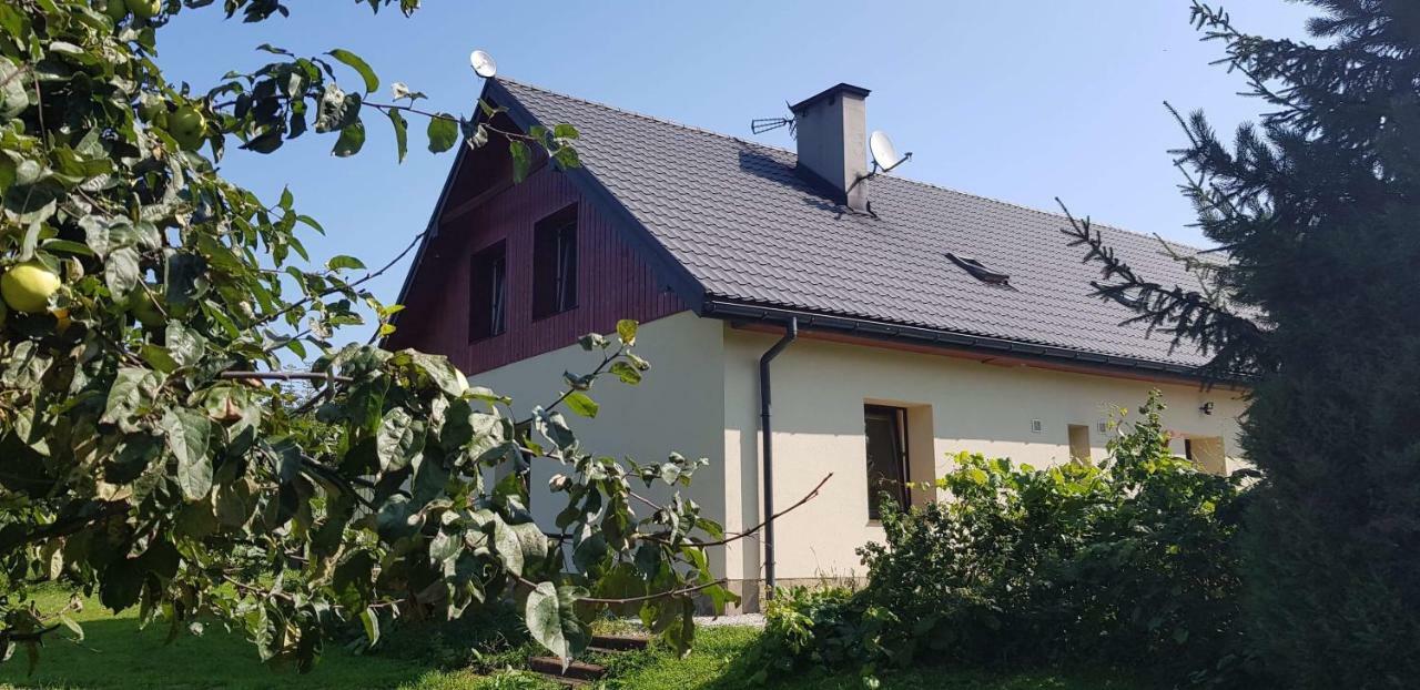Powroznik 94 Lägenhet Muszyna Exteriör bild